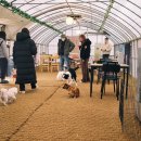 워킹애니멀스쿨 이미지