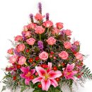 (주)스타피쉬 이미지