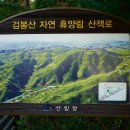 소나무와계곡