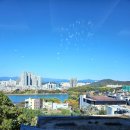 과일콕수성점 | 수성호텔 뷔페 포시즌스 할인정보 및 런치 후기 | 수성못 맛집 하니콕의 또간집