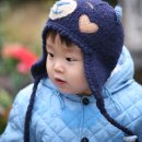 이조스튜디오 Daum카페