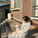 스텔라의행복정원