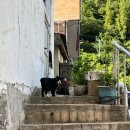 나리민박 이미지