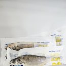맛있는추자도참굴비 찾는다면? 제주바다특별시 참굴비로 가족 입맛 살린 집밥 후기