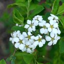 더 머물다 이미지