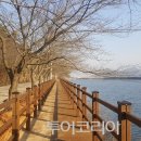 봉은