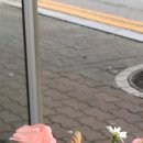 플로위드