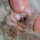 효동크리닝 이미지