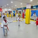 한국대룡태권도 이미지