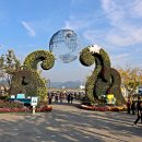 마산 가고파 국화축제 이미지