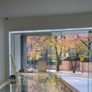 로데오안경 이미지