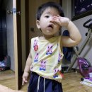 하비함미 이미지