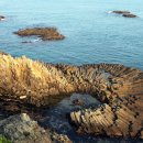 양남주상절리 이미지