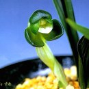 여주-0810 이미지