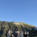 LA 당일 투어 일정 갈렙 투어 이용 후기