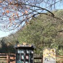 백야리 | 백야자연휴양림 코스 걷기 좋은 음성 백야수목원 나들이