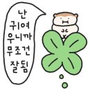 동글동글주먹밥