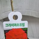 수프림조경