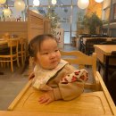 스시현 이미지