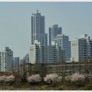 안양천 이미지