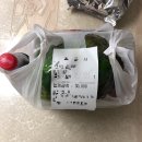 GR(영광군)-[옥당로]-하-9 | 영광맛집 정가네족발 후기