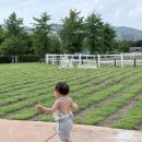 카페인포니 | 아기랑 가기좋은 서울포니랜드 신상카페 슬로우포니