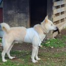 인월동물병원 이미지