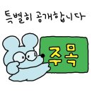 ~250715 내돈내산 추천템들 후기