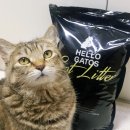 헬로가토스 이미지