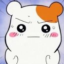 조선갈비찜 이미지