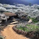 내 마음에 파스텔 이미지