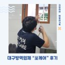 문화방역 | [대구방역업체] 대구바퀴벌레퇴치 쏘케어 방역 이용 후기
