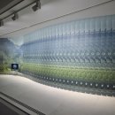 ACC in Flux | 11월, 기억으로 연결되는 전시