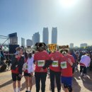 삼호교 화장실 | 2024 마라톤대회 참가후기🏃‍♂️(울산 태화강국제마라톤, 경주 벚꽃마라톤)