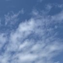 봉근식탁 이미지