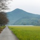 화월경로당 네이버블로그