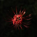 행복한날 이미지