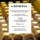 고소소