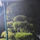 뉴서울평생교육원