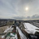 고양화전5 이미지