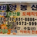 태양농산 - 홍천군 홍천로 375 | 태양농산