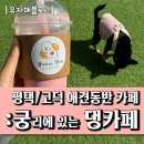고덕 대형견 애견동반 카페 : 궁댕
