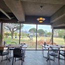 구암동126 | [대전 구암동 맛집] 호텔급 다이닝을 즐기는 힐링 스팟, '포크앤피클스'