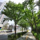 대림키즈체육관 이미지