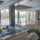 라테라스 코브 스위트 | [여수] 주말 라테라스리조트 포레스트룸,파티코브스위트룸,수영장,부대시설 솔직후기