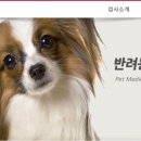 시흥i동물병원 이미지