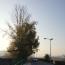 학성초등학교길 이미지