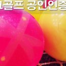 파크골프용품 이미지