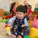 보정지구대 이미지