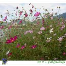 하늘 그리고 바다 이미지